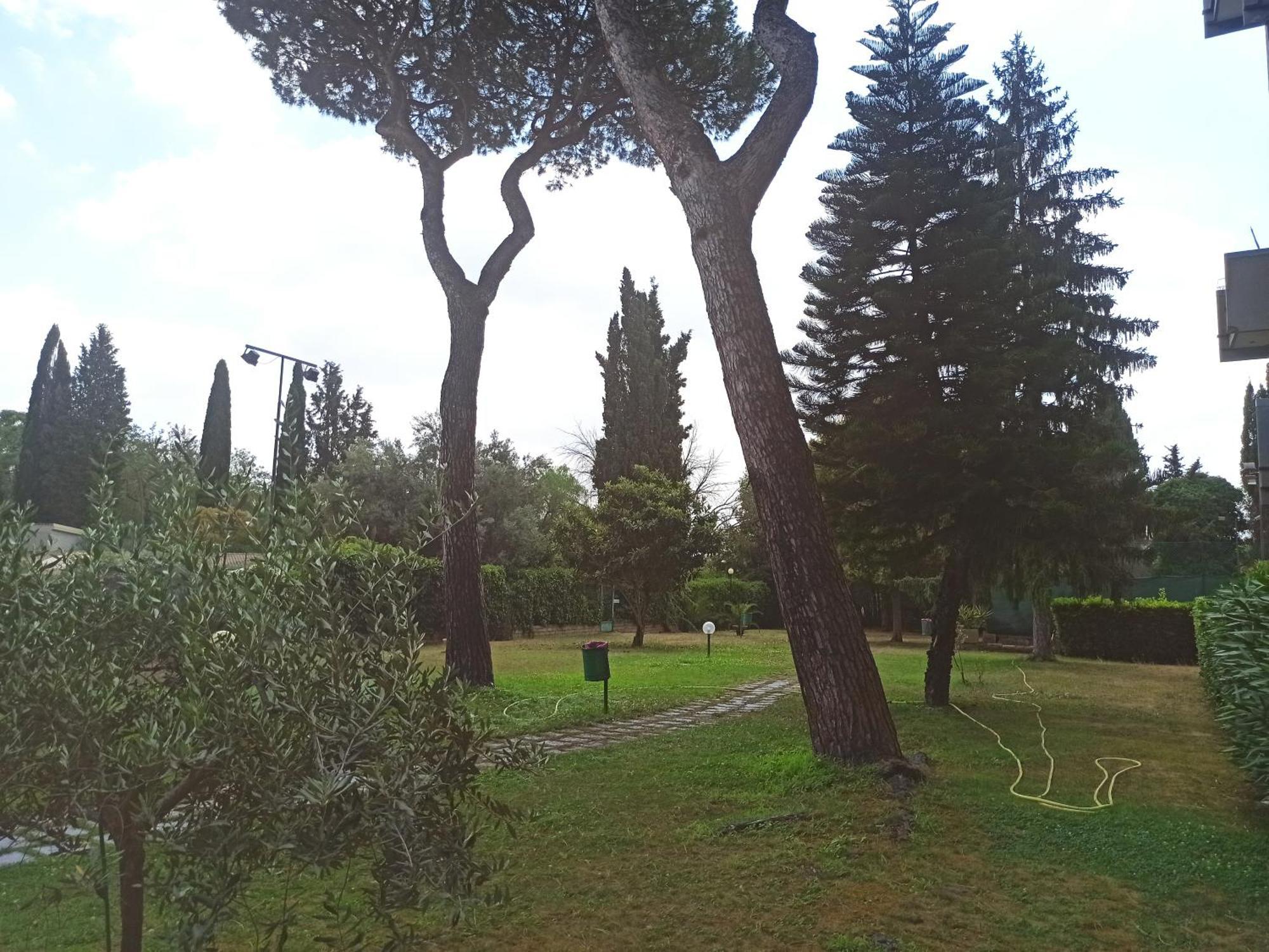 Aurelia Antica Terrace Apt Free Pool And Parking Rome Exterior photo